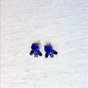 Fashion earrings